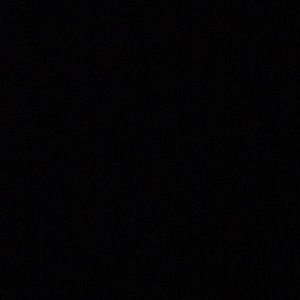 Meet your Posher, Chanel